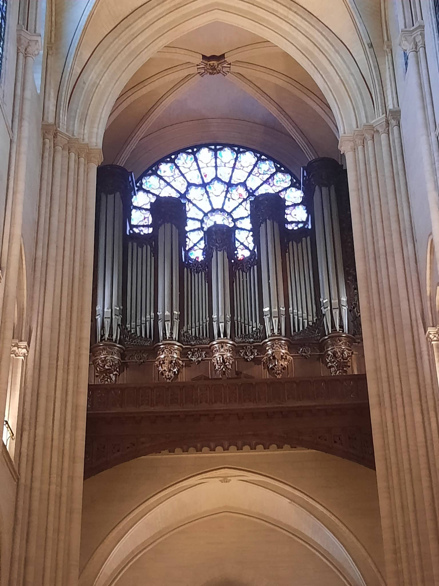 558016503_1107235558230936_2789278510186312485_n