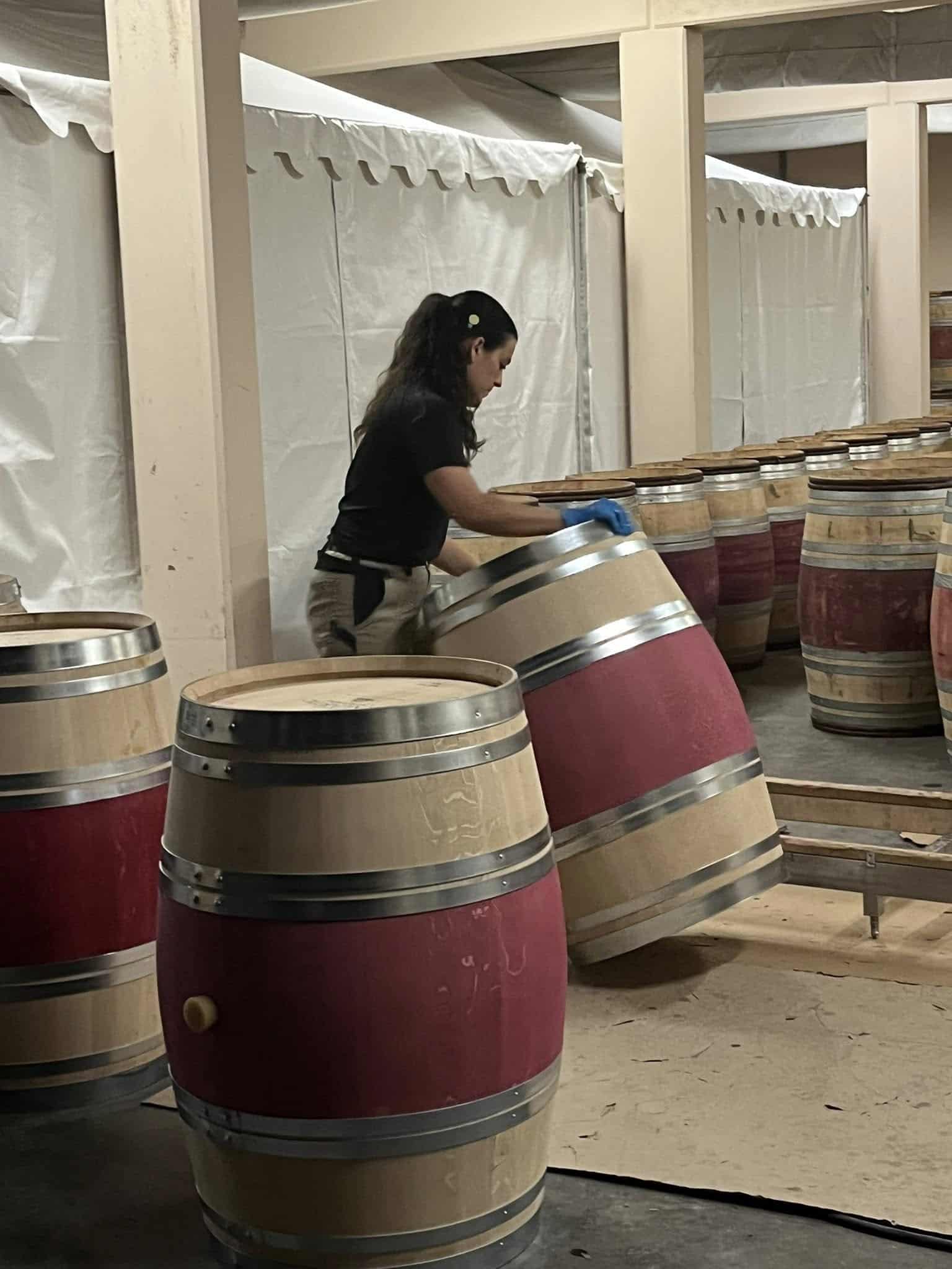 562082278_1123062733314885_1050224646064120487_n