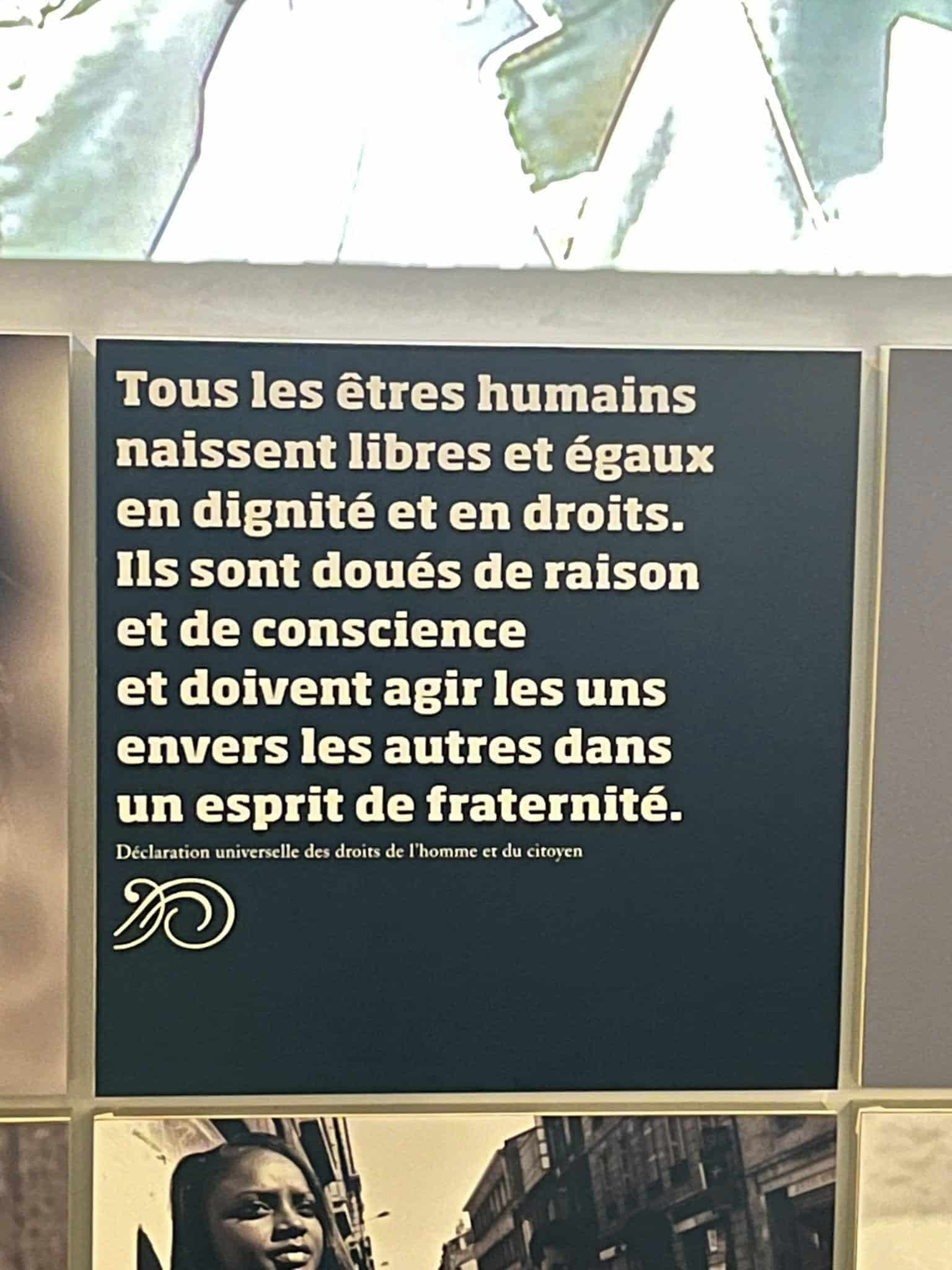 568520120_1124594943161664_6668401751848001395_n