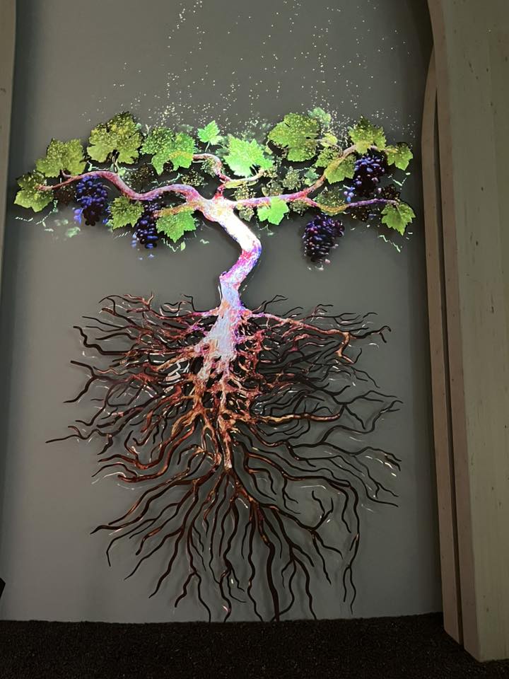 571353776_1123883986566093_8793468193551736788_n