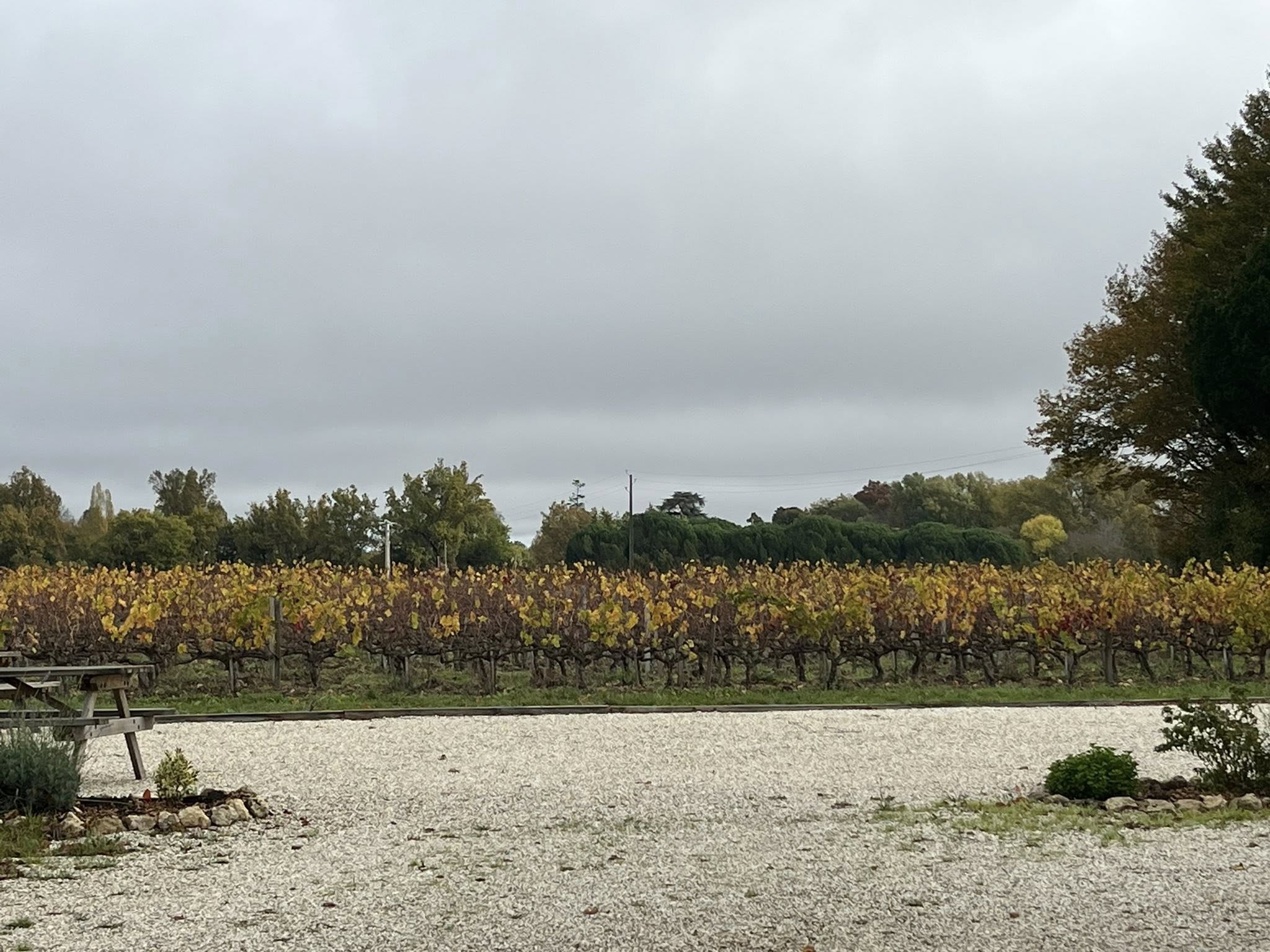 571356571_1122942873326871_6289593998834572666_n