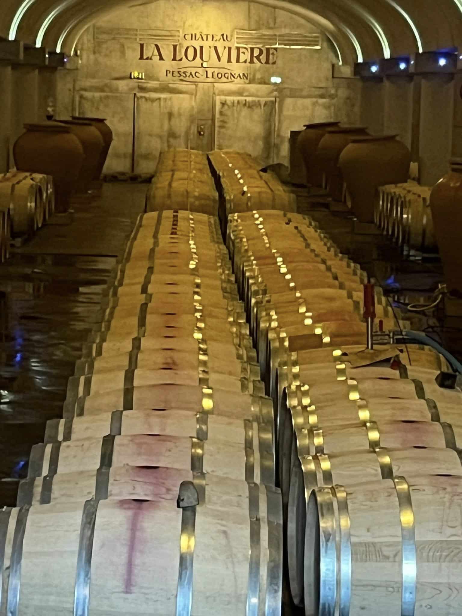 571432727_1123558959931929_9106921357489039573_n