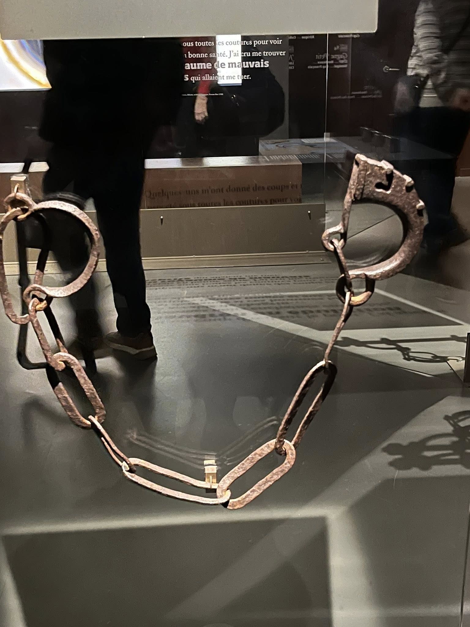 573365088_1124595076494984_5758565775593610151_n