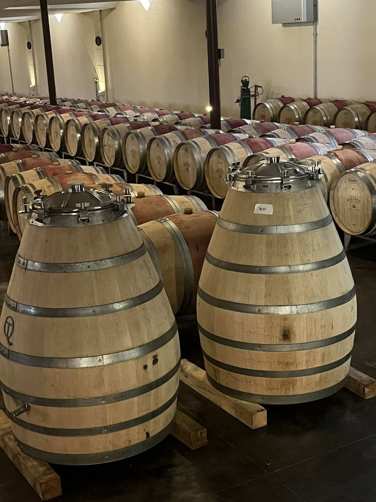 574273879_1123061566648335_1496226069084958954_n