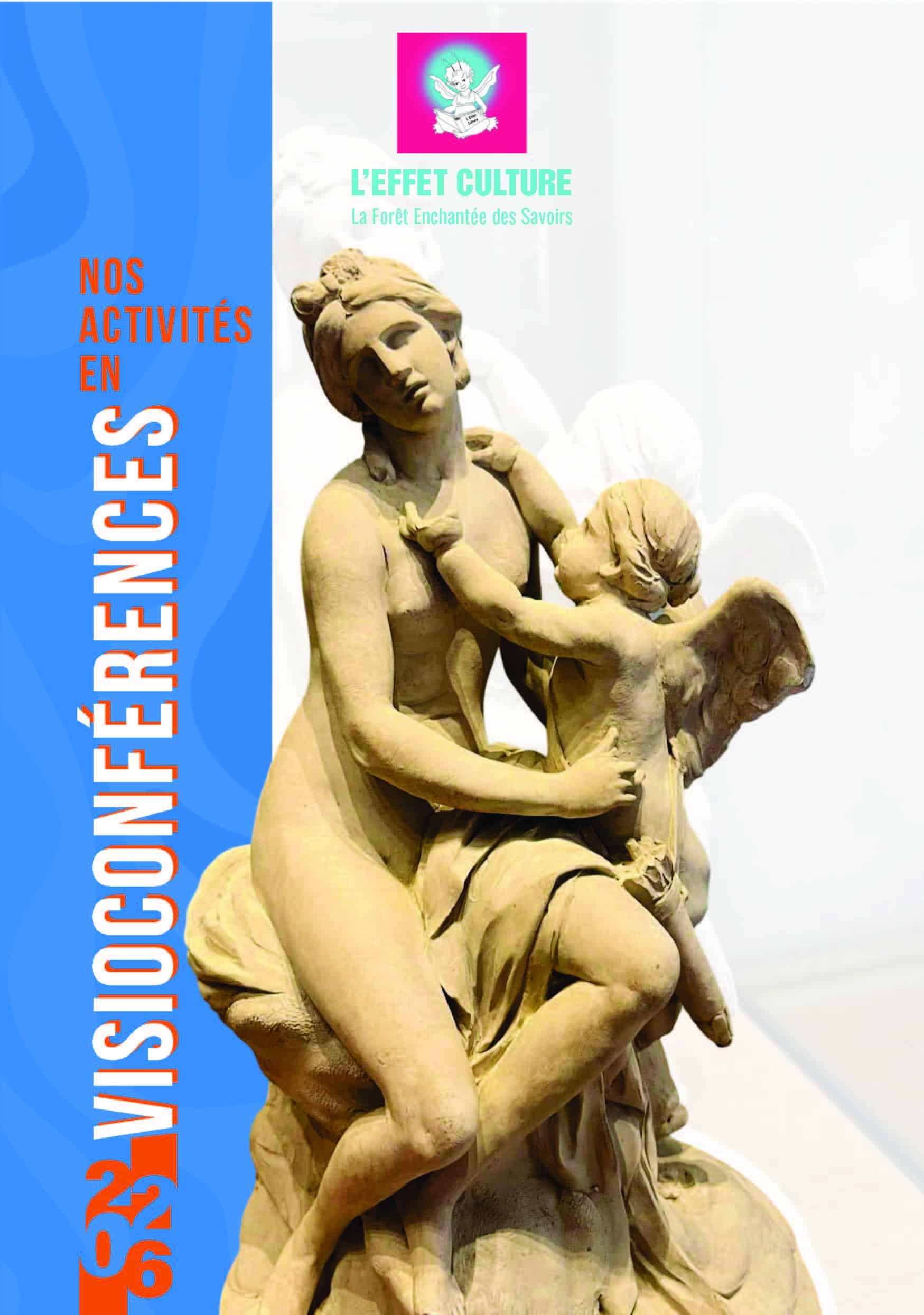 Effet culture Visioconférences 2026