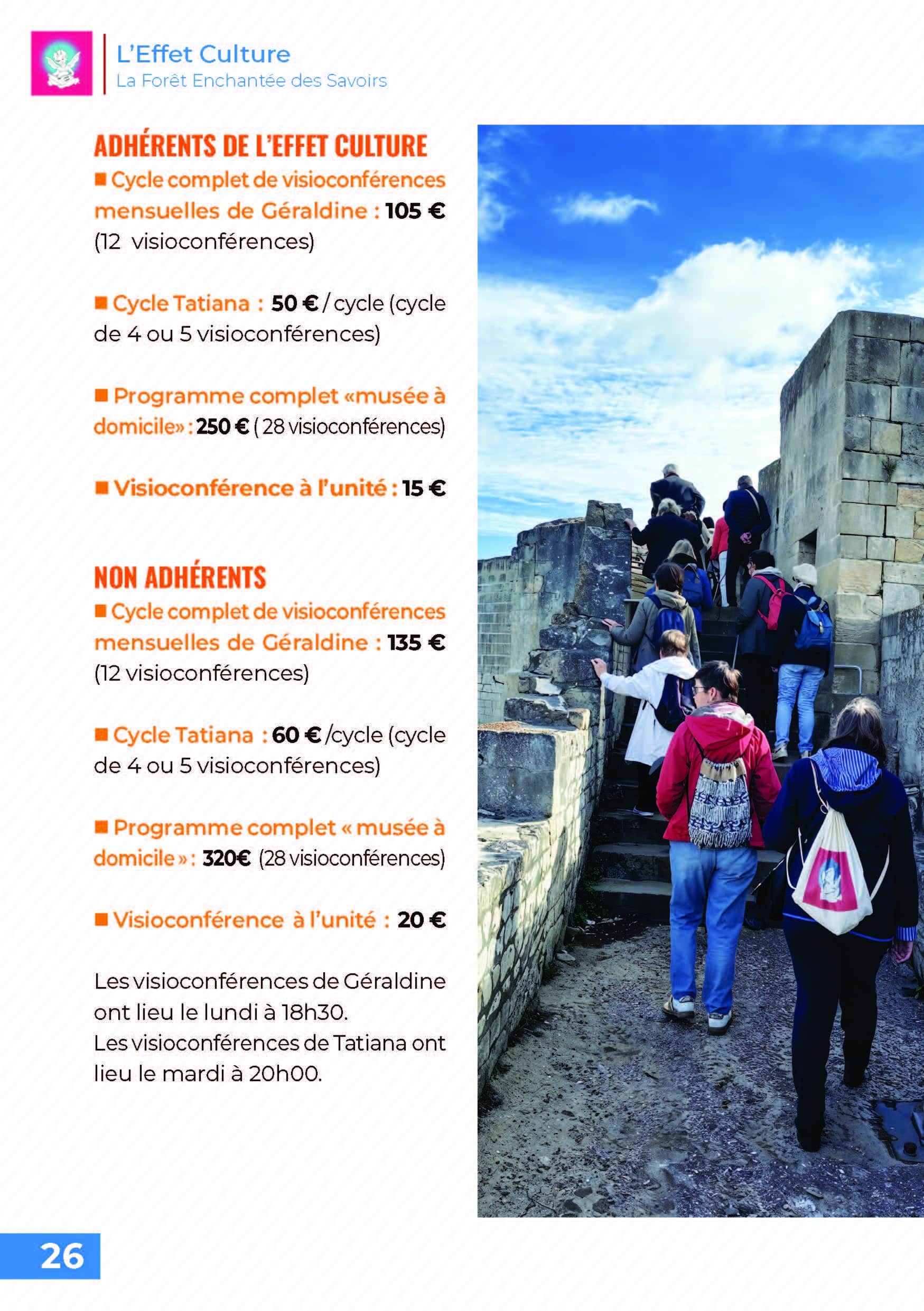 Effet culture Visioconférences 2026