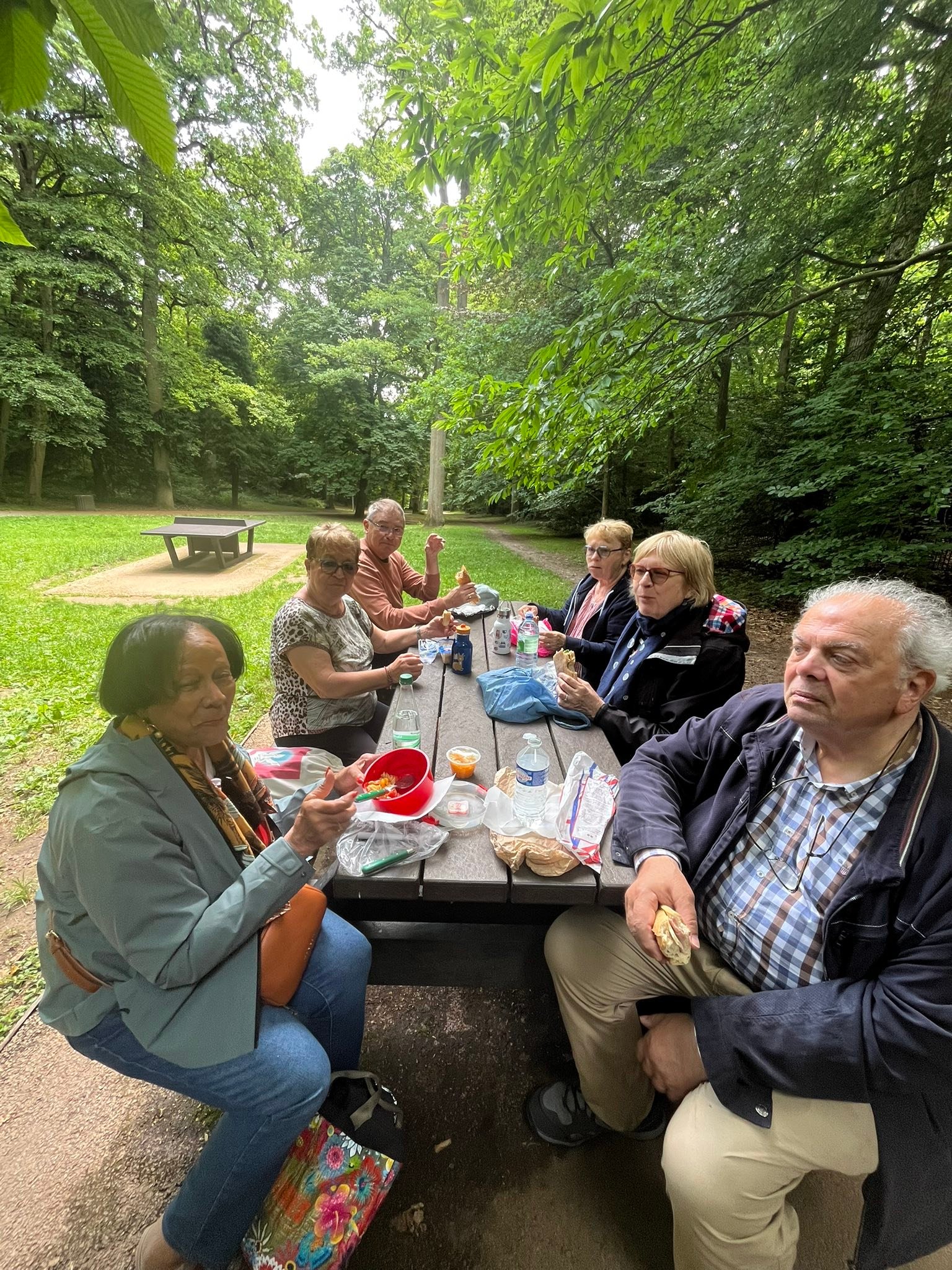 710298989_1291533193134504_3751115497776599247_n Group of seniors sitting at a wooden picnic table in a park, enjoying snacks and drinks under leafy trees.