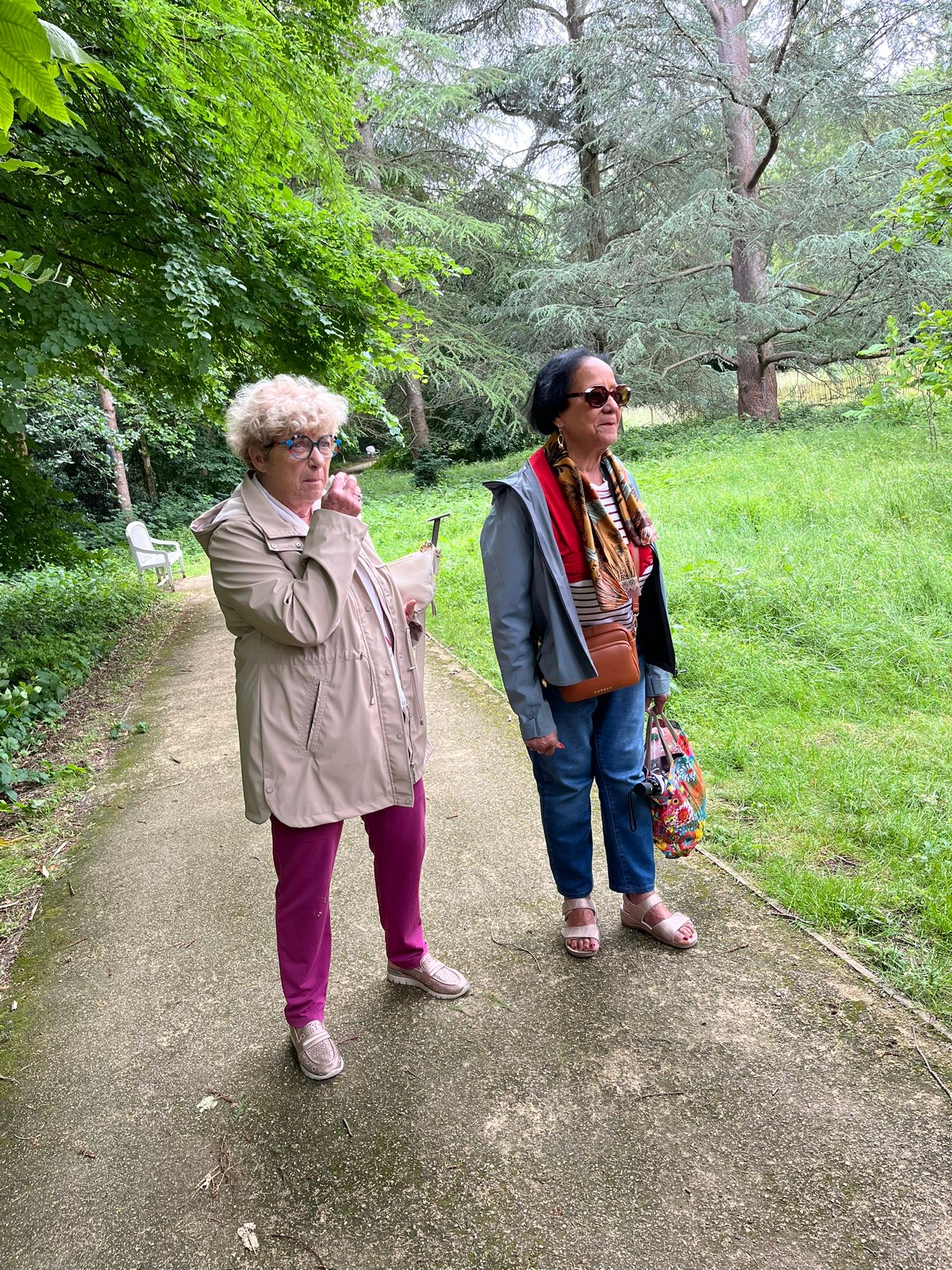 712466295_1291895909764899_1421908457590449873_n Two elderly women walking along a paved park path among green trees and grass, carrying bags and wearing light jackets.