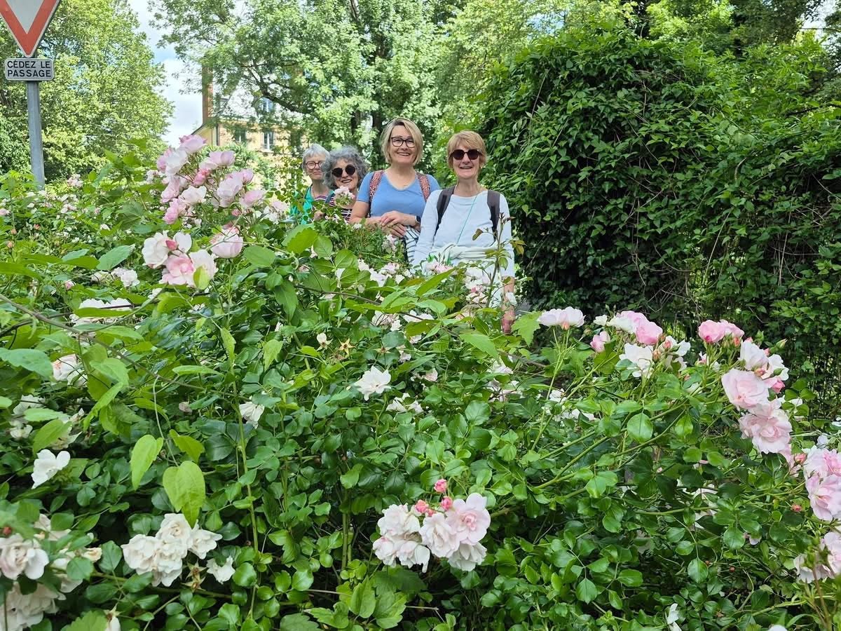 721995387_1302828048671685_303474407511554334_n Four women stand behind a lush rose bush with pink blooms in a sunny garden.