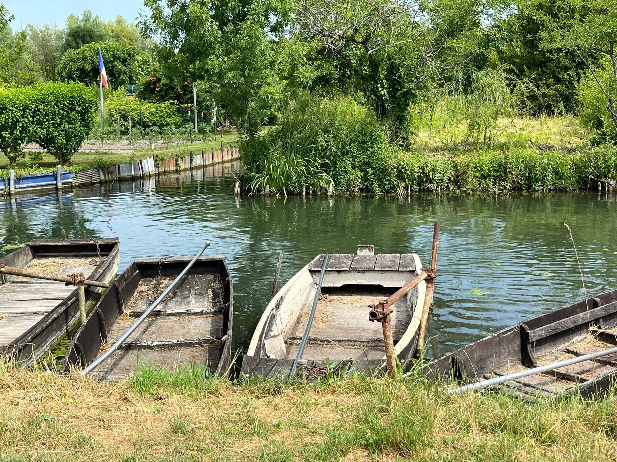 726575182_1305827401705083_2194063938538830790_n Row of weathered wooden boats moored along a calm canal with grassy banks and dense green trees behind them.