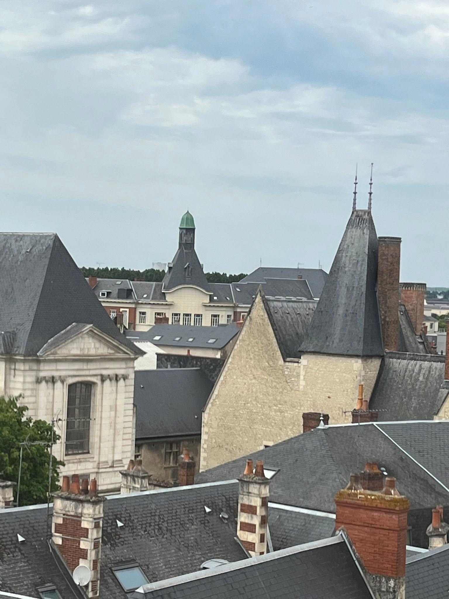 726717920_1306129821674841_7516178083128548396_n Row of old European slate rooftops with tall brick chimneys beneath a cloudy sky, skyline in the distance