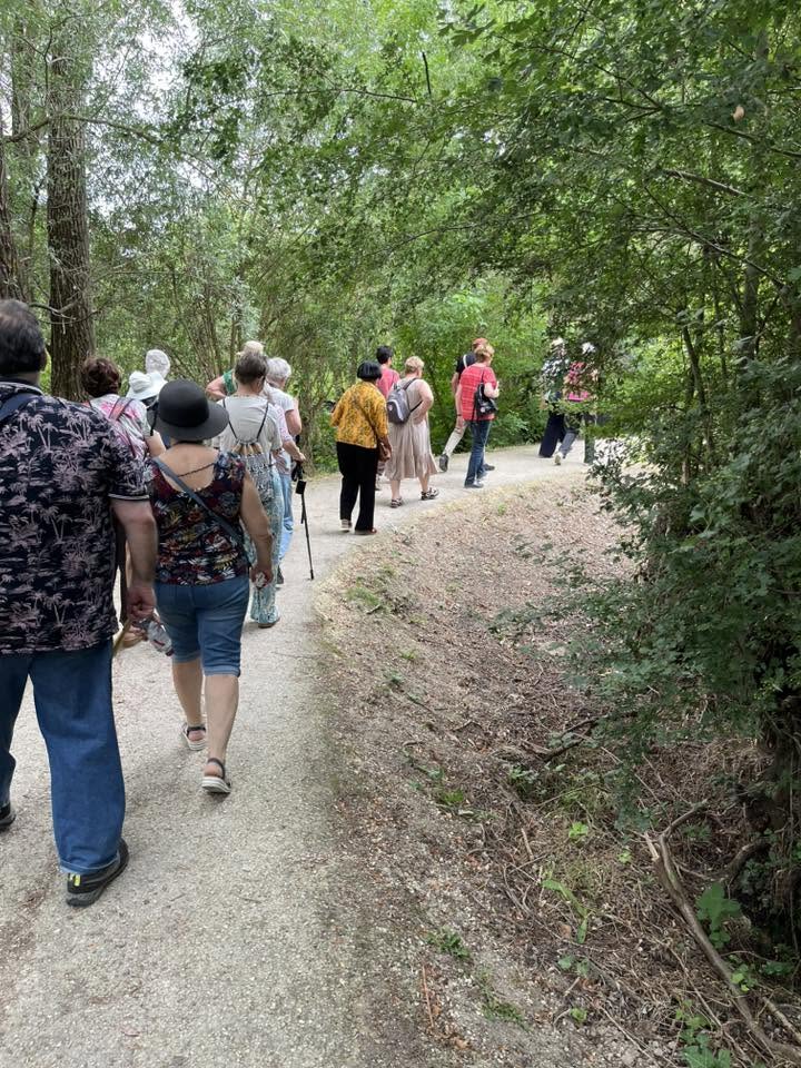 727277033_1305825211705302_2999575073772340352_n Group of people walking along a forested park path.