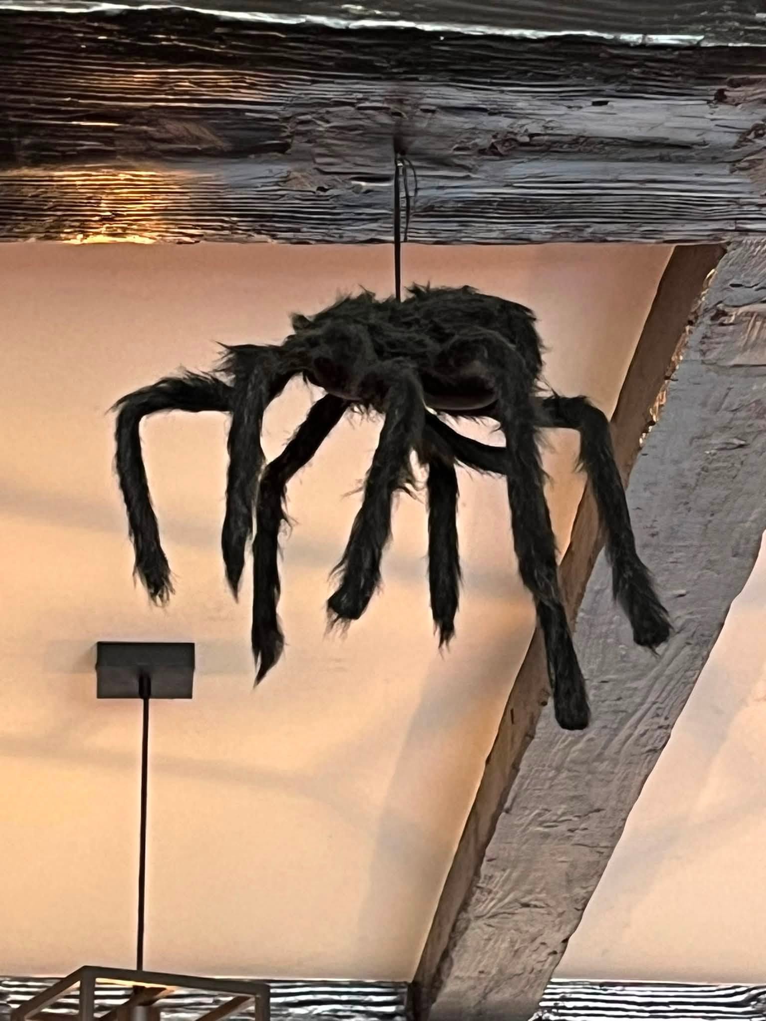 741940475_1322793393341817_5305612186494929319_n A large black spider decoration hanging from a string attached to a ceiling beam in an indoor room.